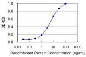 Detection limit for recombinant GST tagged BGLAP is 0. (Osteocalcin antibody  (AA 52-100))