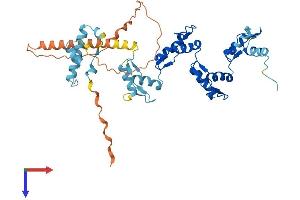 AlphaFold protein structure predicition of Human Recombinant ZNF679 Protein, UniprotID Q8IYX0