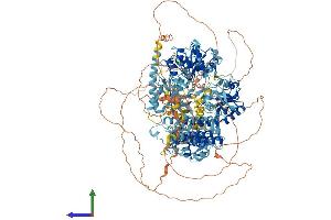 AlphaFold protein structure predicition of Human Recombinant SBNO1 Protein, UniprotID A3KN83 (SBNO1 Protein (AA 1-1393) (His tag))