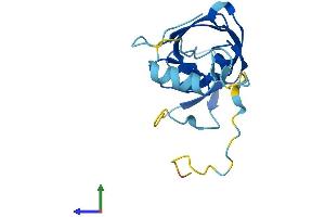Protein Structure (PS) image for Endogenous Retrovirus Group K, Member 9 (ERVK-9) (AA 1-156) protein (His tag) (ABIN7545122)