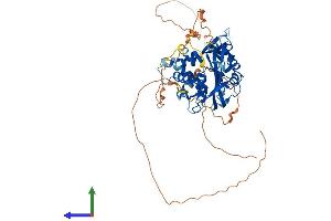 AlphaFold protein structure predicition of Human Recombinant USP17L18 Protein, UniprotID D6R9N7 (USP17L18 Protein (AA 1-530) (His tag))