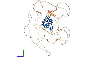 Protein Structure (PS) image for Eomesodermin (EOMES) (AA 1-686) protein (His tag) (ABIN7553854)