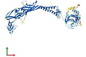 Protein Structure (PS) image for Purinergic Receptor P2X, Ligand-Gated Ion Channel, 7 (P2RX7) (AA 1-595) protein (His tag) (ABIN7556387)