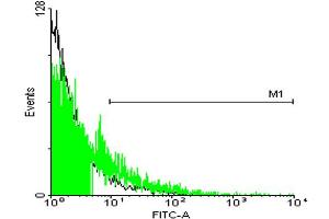 FACS analysis of 293 cells stained with STIP1 monoclonal antibody clone 2E11 (Green) and non-stained 293 cells (Black) as negative control. (STIP1 antibody  (AA 1-543))