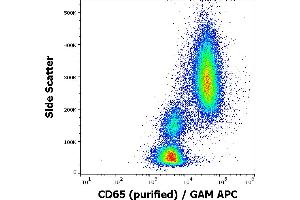 Flow cytometry surface staining pattern of human peripheral whole blood stained using anti-human CD65 (VIM8) purified antibody (concentration in sample 5 μg/mL, GAM APC). (CD65 antibody)