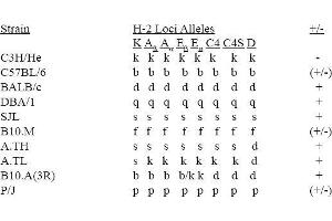 ELISA image for anti-MHC Class I H-2KdDd antibody (Biotin) (ABIN371168) (MHC Class I H-2KdDd antibody (Biotin))