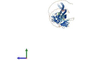 AlphaFold protein structure predicition of Human Recombinant TAOK1 Protein, UniprotID Q7L7X3 (TAO Kinase 1 (TAOK1) (AA 1-1001) protein (His tag))