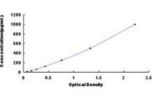 Typical standard curve (FGF11 ELISA Kit)