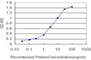 Detection limit for recombinant GST tagged NKIRAS1 is approximately 0. (NKIRAS1 antibody  (AA 1-100))