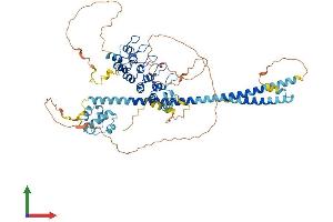 AlphaFold protein structure predicition of Human Recombinant ANKS3 Protein, UniprotID Q6ZW76 (ANKS3 Protein (AA 1-656) (His tag))