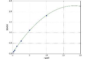 Wingless-Type MMTV Integration Site Family, Member 6 (WNT6) ELISA Kit