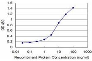 Detection limit for recombinant GST tagged FOXF2 is approximately 0. (FOXF2 antibody  (AA 346-443))