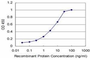 Detection limit for recombinant GST tagged PTF1A is approximately 0. (PTF1A antibody  (AA 250-328))