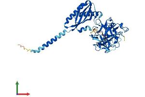 Protein Structure (PS) image for Transmembrane Protease, serine 11B (TMPRSS11B) (AA 1-416) protein (His tag) (ABIN7544514)