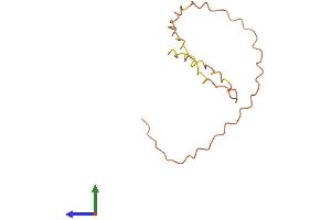AlphaFold protein structure predicition of Human Recombinant KRTAP12-1 Protein, UniprotID P59990