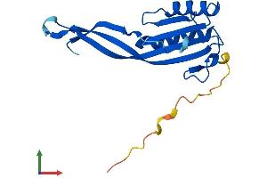 AlphaFold protein structure predicition of Mouse Recombinant Rpp25l Protein, UniprotID Q99JH1