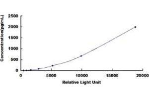 ELISA image for Vascular Endothelial Growth Factor A (VEGFA) CLIA Kit (ABIN491837)