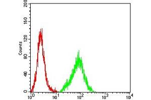 Flow Cytometry (FACS) image for anti-Friend Leukemia Virus Integration 1 (FLI1) (AA 303-452) antibody (ABIN7193672)
