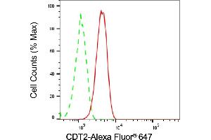 Flow cytometric analysis of CDT2 expression in HT- cells using CDT2 antibody (ABIN7798307), 1:(ABIN7798691).