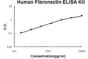 Human Fibronectin PicoKine ELISA Kit standard curve (Fibronectin 1 ELISA Kit)