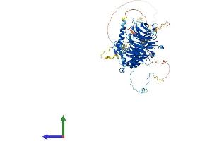 AlphaFold protein structure predicition of Human Recombinant DNAI1 Protein, UniprotID Q9UI46 (DNAI1 Protein (AA 1-699) (His tag))