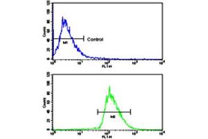 Flow cytometric analysis of WiDr cells using BMPR1A polyclonal antibody (bottom histogram) compared to a negative control cell (top histogram). (BMPR1A antibody  (N-Term))