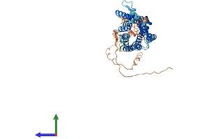 Protein Structure (PS) image for Tachykinin Receptor 3 (TACR3) (AA 1-465) protein (His tag) (ABIN7549738)