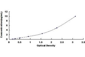 ETS1 ELISA Kit