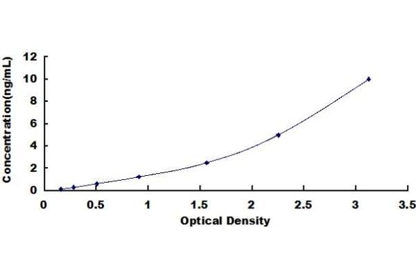 ETS1 ELISA Kit