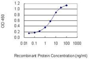 Detection limit for recombinant GST tagged MYOM1 is 0. (Myomesin 1 antibody  (AA 1586-1684))