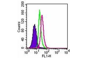 Image no. 3 for anti-Toll-Like Receptor 3 (TLR3) (AA 55-70) antibody (ABIN208035) (TLR3 antibody  (AA 55-70))