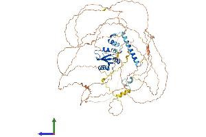 AlphaFold protein structure predicition of Human Recombinant R3HCC1L Protein, UniprotID Q7Z5L2 (GIDRP88 Protein (AA 1-792) (His tag))