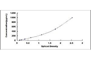 Typical standard curve (DPYD ELISA Kit)
