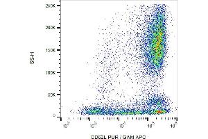 Flow cytometry analysis (surface staining) of human peripheral blood cells with anti-CD62L (LT-TD180) purified, GAM-APC. (L-Selectin antibody)