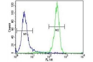 LKB1 antibody flow cytometric analysis of NCI-H460 cells (green) compared to a negative control (blue).