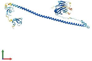 Protein Structure (PS) image for Tripartite Motif-containing 4 (TRIM4) (AA 1-500) protein (His tag) (ABIN7544591)