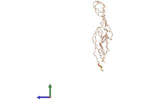 AlphaFold protein structure predicition of Human Recombinant KRTAP10-5 Protein, UniprotID P60370