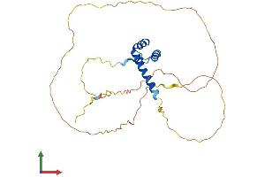 AlphaFold protein structure predicition of Mouse Recombinant Otx2 Protein, UniprotID P80206 (OTX2 Protein (AA 1-289) (His tag))