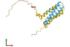 AlphaFold protein structure predicition of Mouse Recombinant Cmtm5 Protein, UniprotID Q9D6G9 (CMTM5 Protein (AA 1-156) (His tag))