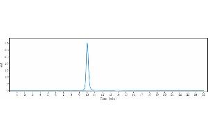 The purity of Anti-KLK2 / Kallikrein 2 Reference Antibody (JNJ-69086420) is 100 % , determined by SEC-HPLC.