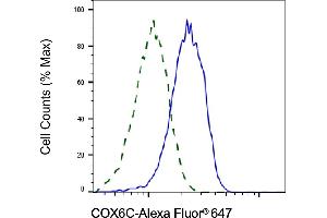 Validation of COX6C knockdown using flow cytometry. (COX6C antibody)