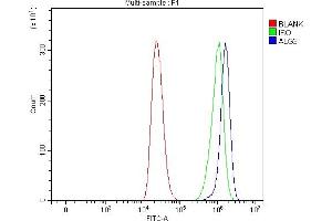 Flow Cytometry analysis of THP-1 cells using anti-ALG3 antibody (ABIN7602167).
