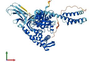AlphaFold protein structure predicition of Human Recombinant HSPA6 Protein, UniprotID P17066