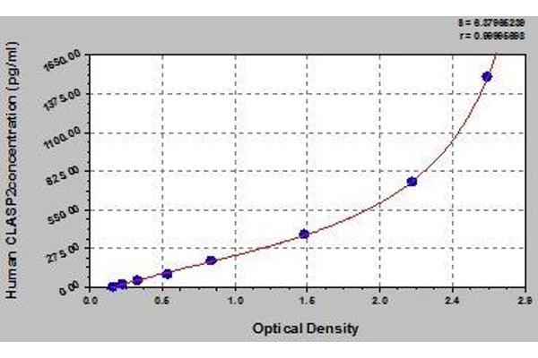 CLASP2 ELISA Kit