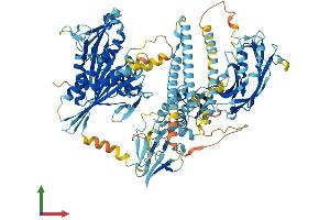 AlphaFold protein structure predicition of Human Recombinant KIF28P Protein, UniprotID B7ZC32 (KIF28P (AA 1-967) protein (His tag))
