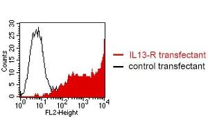 FACS analysis of BOSC23 cells using C8. (IL13RA2 antibody  (Extracellular Domain))