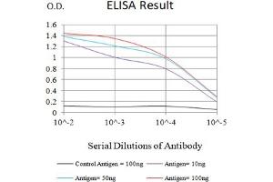 Black line: Control Antigen (100 ng),Purple line: Antigen (10 ng), Blue line: Antigen (50 ng), Red line:Antigen (100 ng) (Claudin 6 antibody)