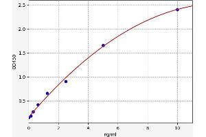 Oncostatin M Receptor ELISA Kit