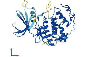 AlphaFold protein structure predicition of Mouse Recombinant Cdk5 Protein, UniprotID P49615 (CDK5 Protein (AA 1-292) (His tag))