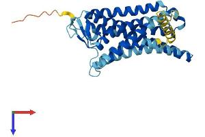 AlphaFold protein structure predicition of Human Recombinant OR52I1 Protein, UniprotID Q8NGK6 (OR52I1 Protein (AA 1-324) (His tag))